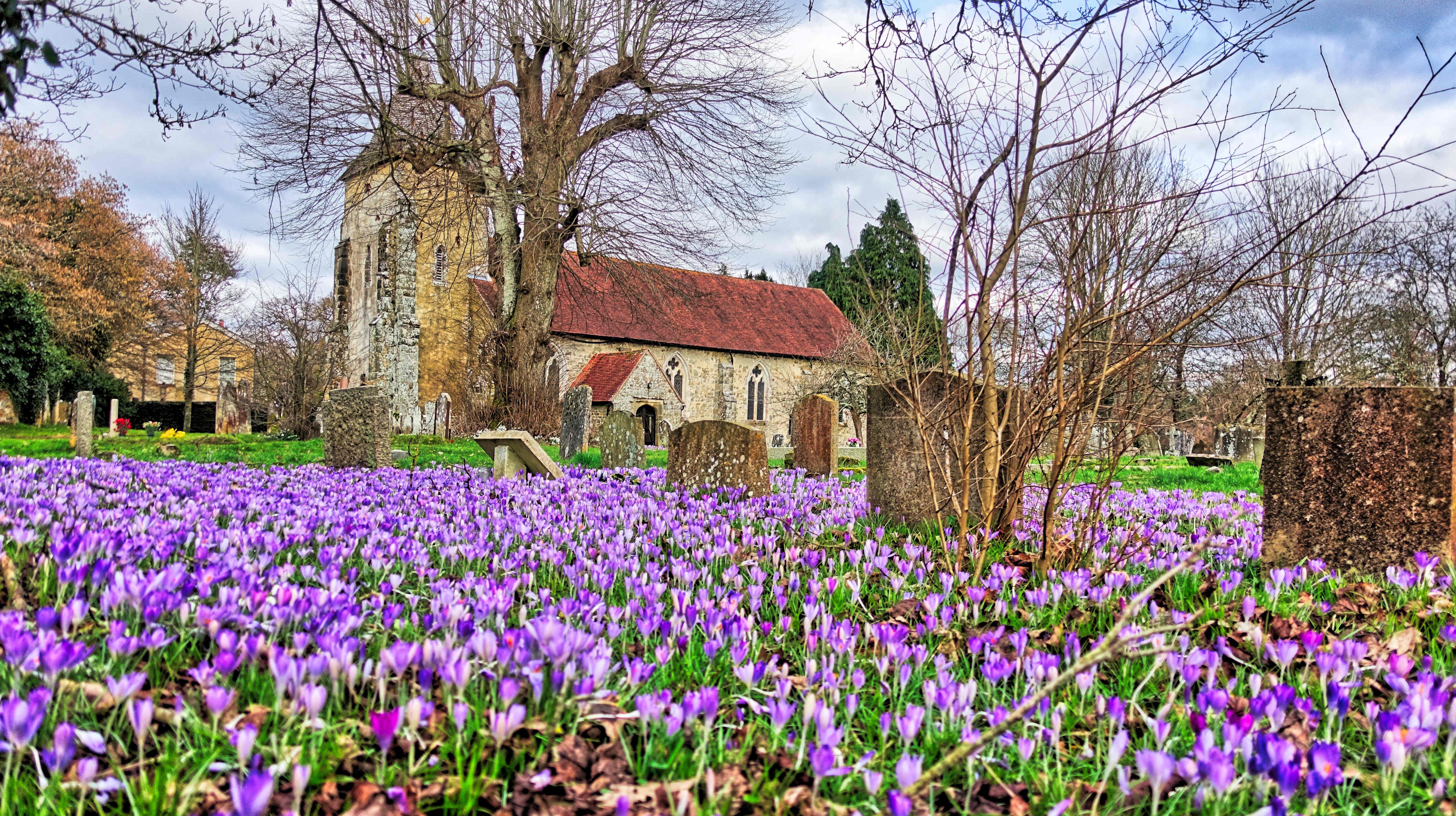 y St Georges Church Trotton
